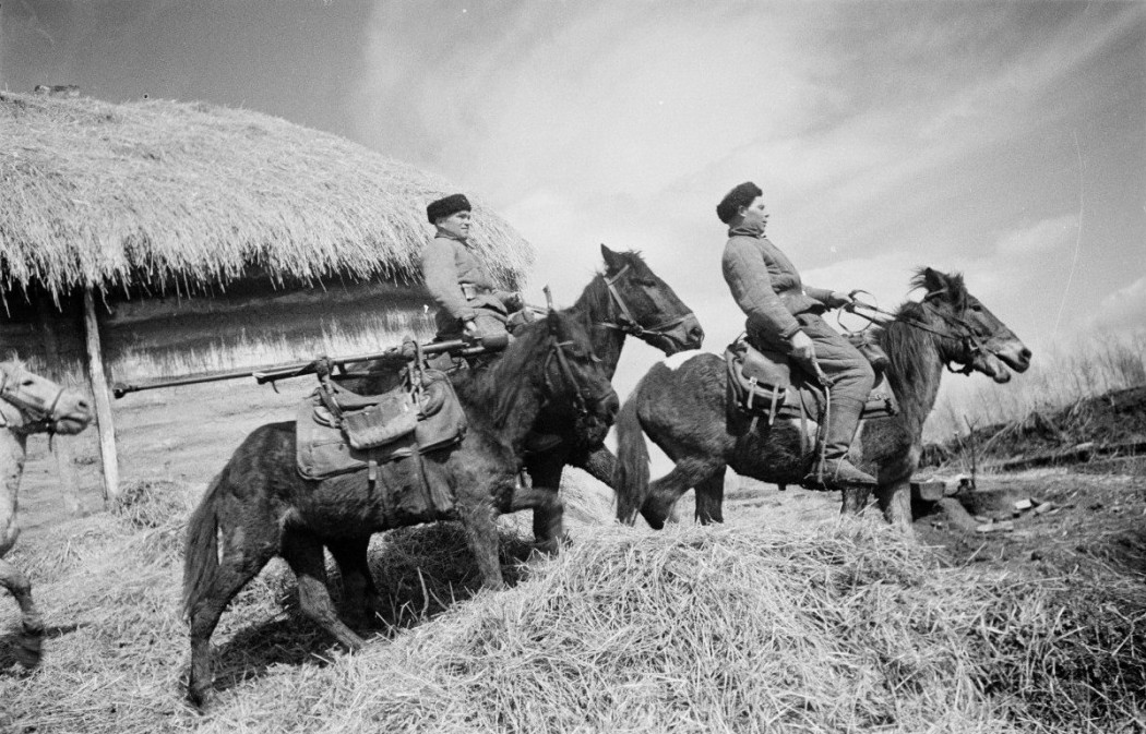 photo foto ATR Soviet cavalry in World War II