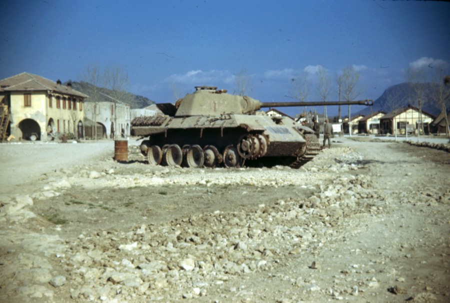 color picture WWII PzKpfw-V