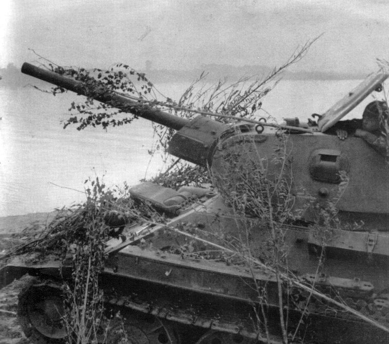 foto Maskirovka WW2  т34 Russian camouflage armor T-34/76 at Don