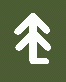 ЗБО в виде ёлочки - топографический знак отдельно стоящее древо