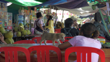 foto photo фото Angkor puppy. Перед входом в комплекс толпятся взрослые продавцы (в почтительном отдалении от сурового полицая) Анкор Вата