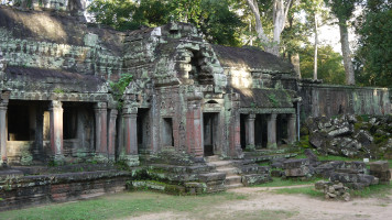 foto Angkor Thom - Trees grow on the walls and roofs