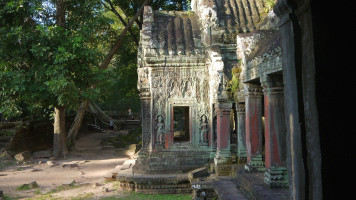 photo Angkor Thom - Los arboles crecen en las paredes y techos