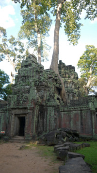AngkorThom - As arvores crescem nas paredes e telhados