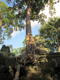 picture Angkor Thom
