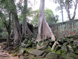 picture Angkor vor und nach der Restaurierung