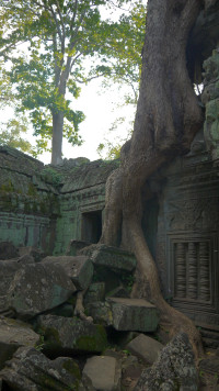 foto photo фото Ta Prohm (Rajavihara) est un temple sur le site d'Angkor au Cambodge