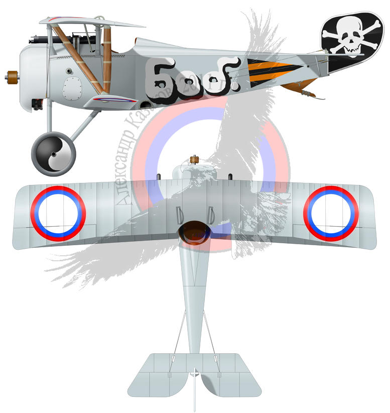 color scheme Nieuport 17 biplane of 19KAO